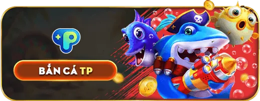 Tin tức và chính sách mới tại kinh79.